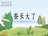 教科版科学三年级下册（2-3）蚕长大了教学PPT课件