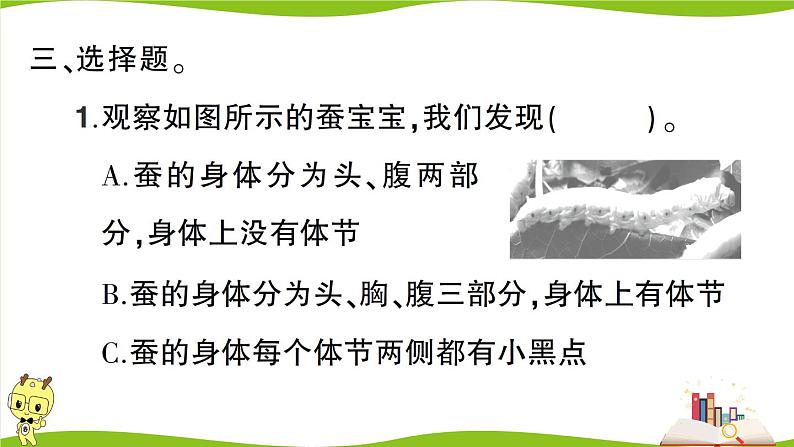 教科版科学三年级下册（2-3）蚕长大了习题5第4页