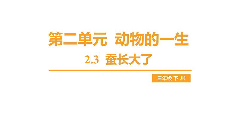 教科版科学三年级下册（2-3）蚕长大了习题1第1页