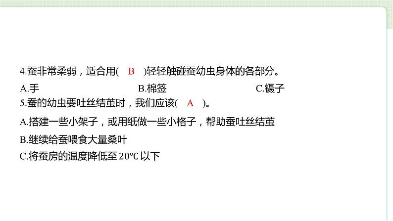 教科版科学三年级下册（2-3）蚕长大了习题1第3页