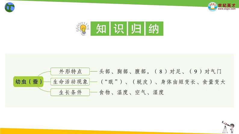 教科版科学三年级下册（2-3）蚕长大了习题3第2页