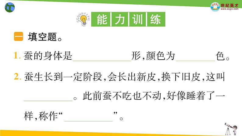 教科版科学三年级下册（2-3）蚕长大了习题3第3页