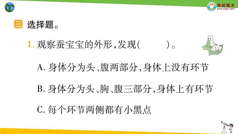 教科版科学三年级下册（2-3）蚕长大了习题3第5页