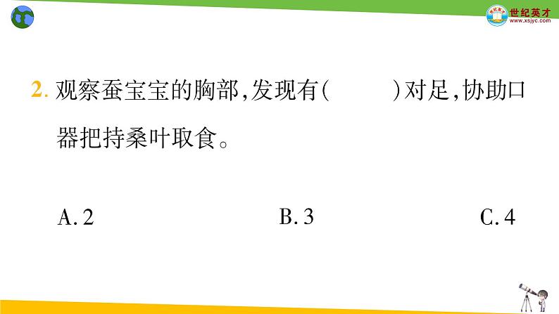 教科版科学三年级下册（2-3）蚕长大了习题3第6页