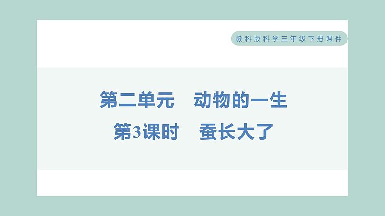 教科版科学三年级下册（2-3）蚕长大了习题6第1页