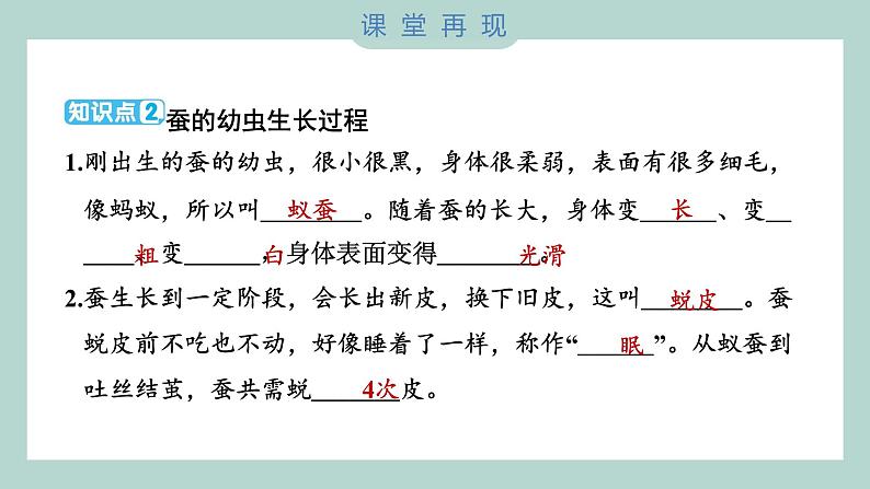 教科版科学三年级下册（2-3）蚕长大了习题6第4页