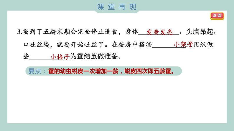 教科版科学三年级下册（2-3）蚕长大了习题6第5页