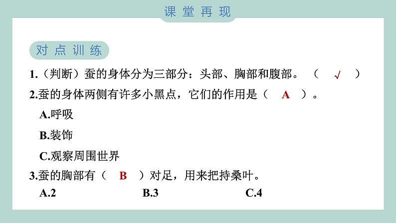 教科版科学三年级下册（2-3）蚕长大了习题6第6页