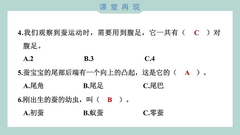 教科版科学三年级下册（2-3）蚕长大了习题6第7页