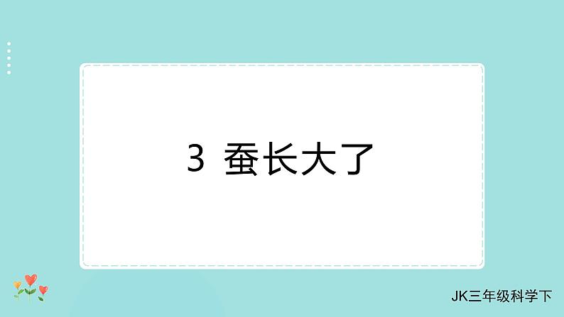 教科版科学三年级下册（2-3）蚕长大了习题4第1页