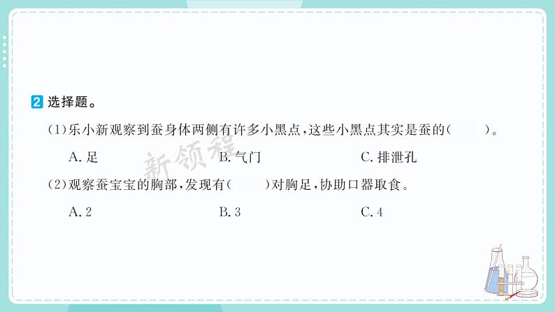 教科版科学三年级下册（2-3）蚕长大了习题4第3页