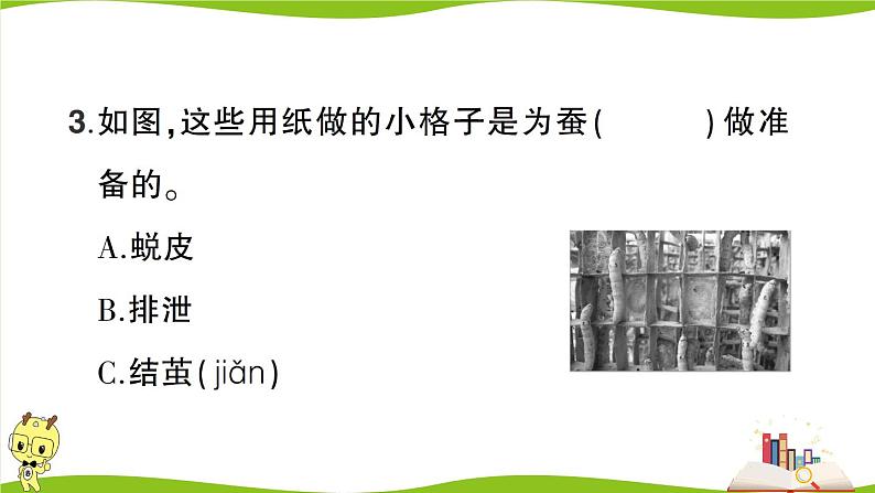 教科版科学三年级下册（2-3）蚕长大了习题5第6页