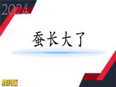 教科版科学三年级下册（2-3）蚕长大了课件PPT