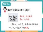 教科版科学三年级下册（2-3）蚕长大了课件PPT