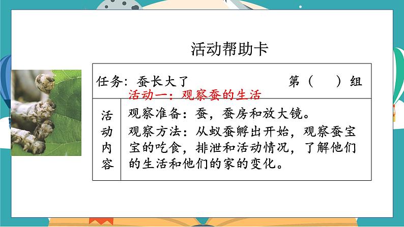 教科版科学三年级下册（2-3）蚕长大了课件PPT第5页