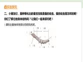 教科版科学三年级下册（2-3）蚕长大了习题1课件PPT