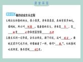 教科版科学三年级下册（2-3）蚕长大了习题6课件PPT