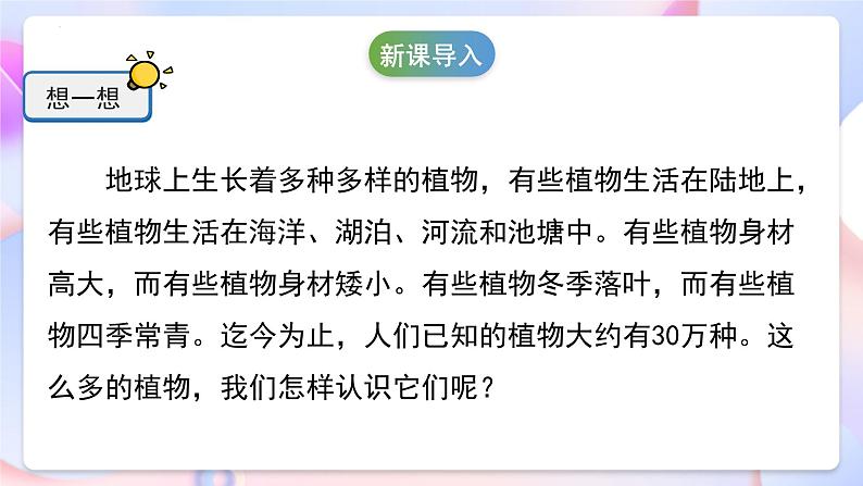 冀人版科学五年级下册4.11《种类繁多的植物》课件04