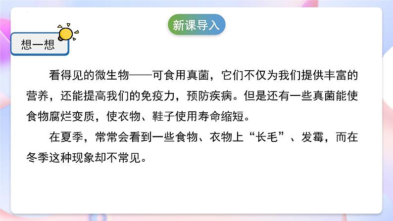 冀人版科学五年级下册4.15《发霉和防霉》课件04