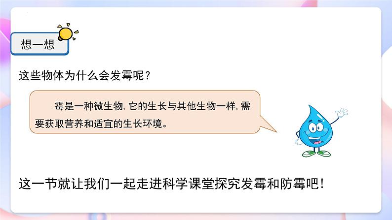 冀人版科学五年级下册4.15《发霉和防霉》课件05