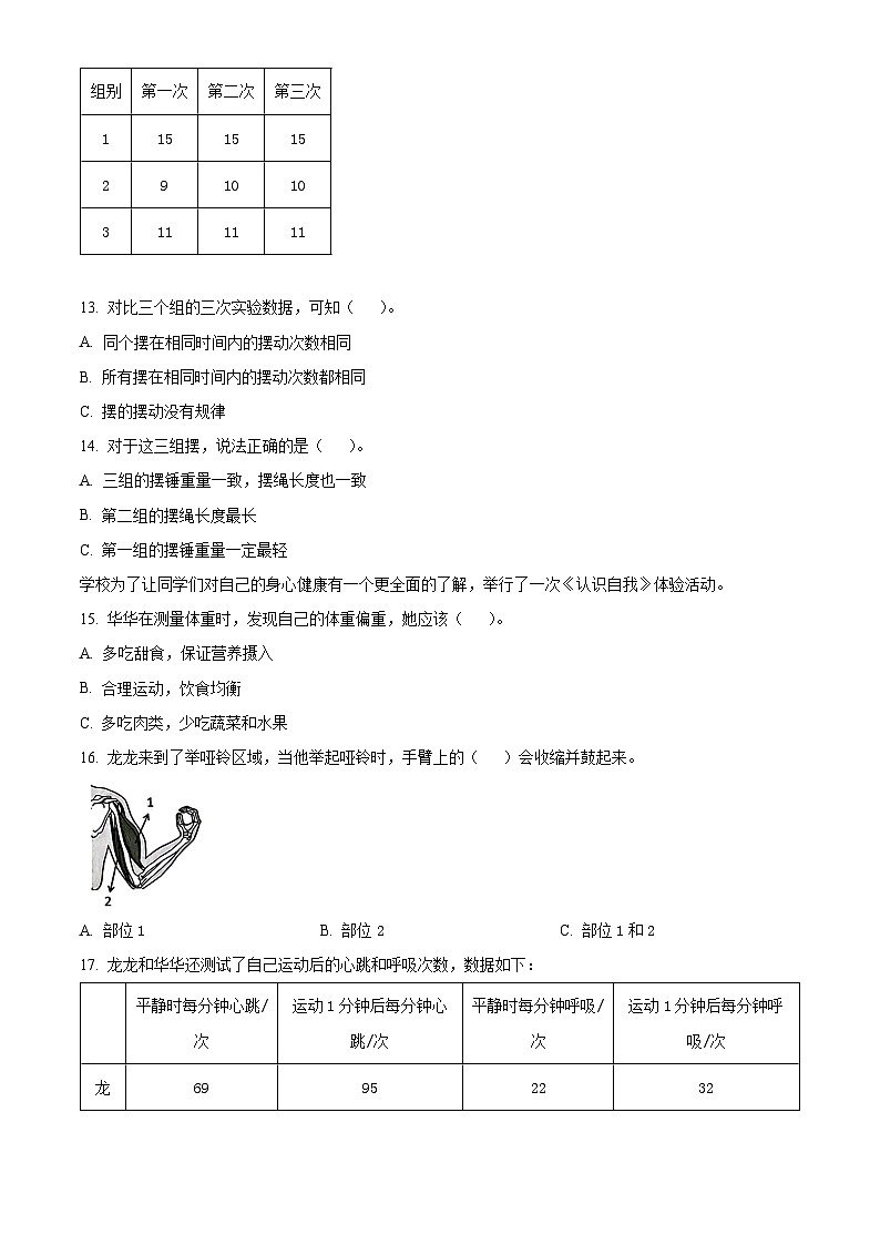 2023-2024学年广东省深圳市龙华区教科版五年级上册期末考试科学试卷（原卷版+解析版）03