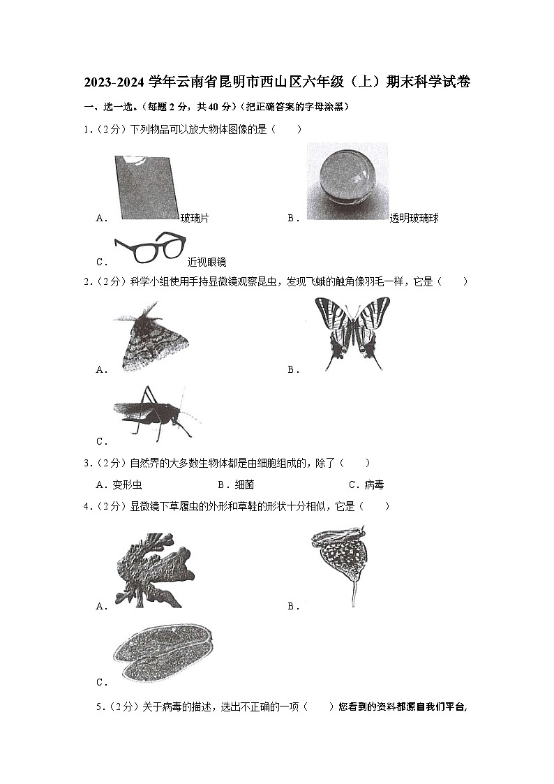 38，云南省昆明市西山区2023-2024学年六年级上学期期末考试科学试题01