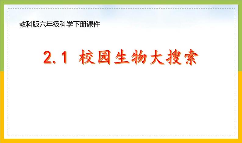 新教科版六年级下册科学2-1《校园生物大搜索》课件第1页