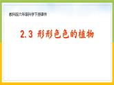 新教科版六年级下册科学2-3《形形色色的植物》课件