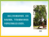 新教科版六年级下册科学2-3《形形色色的植物》课件