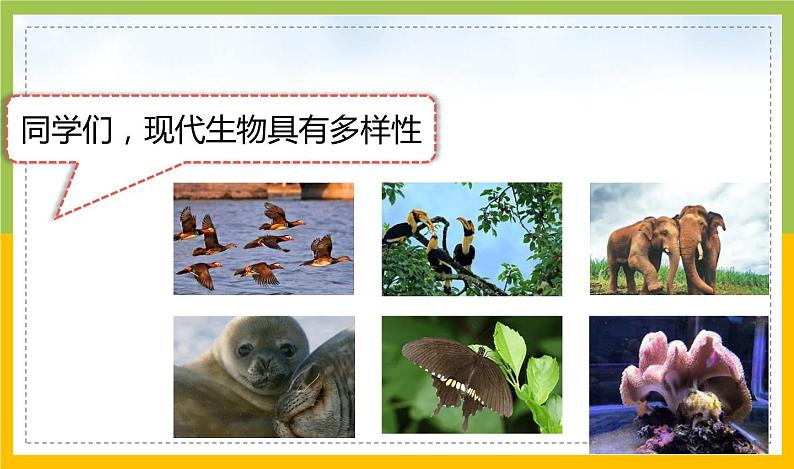 新教科版六年级下册科学2-6《古代生物的多样性》课件第2页