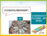 新教科版六年级下册科学2-6《古代生物的多样性》课件