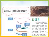 新教科版六年级下册科学2-6《古代生物的多样性》课件