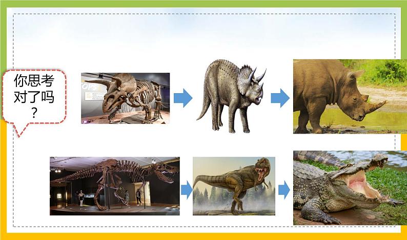 新教科版六年级下册科学2-6《古代生物的多样性》课件第7页