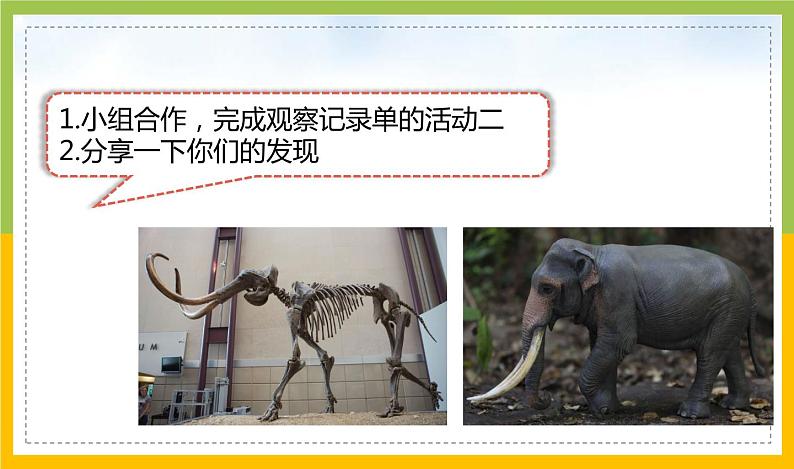 新教科版六年级下册科学2-6《古代生物的多样性》课件第8页