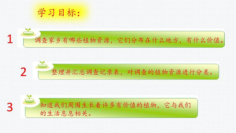 大象版小学科学三年级下册3.1植物资源知多少 PPT课件02