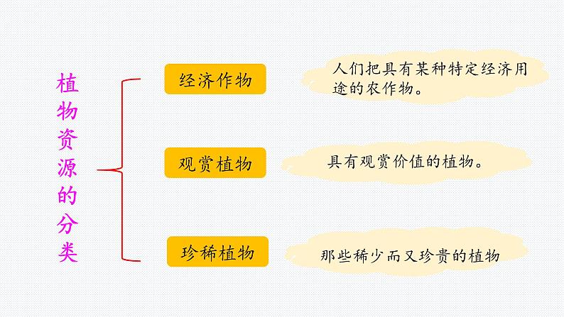 大象版小学科学三年级下册3.1植物资源知多少 PPT课件06