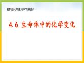 新教科版六年级下册科学4-6《生命体中的化学变化》课件