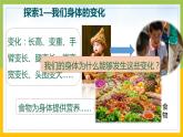 新教科版六年级下册科学4-6《生命体中的化学变化》课件