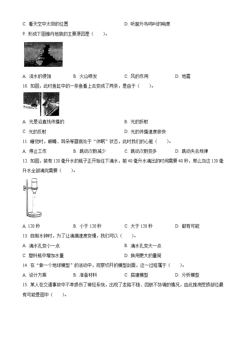 精品解析：2023-2024学年浙江省嘉兴市平湖市教科版五年级上册期末考试科学试卷（原卷版）第2页