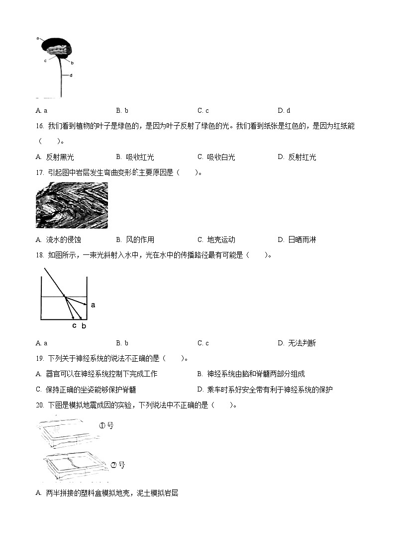 精品解析：2023-2024学年浙江省嘉兴市平湖市教科版五年级上册期末考试科学试卷（原卷版）第3页