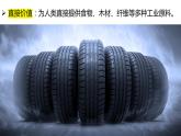 教科版科學(xué)六年級下冊 2.7保護(hù)生物多樣性 同步課件