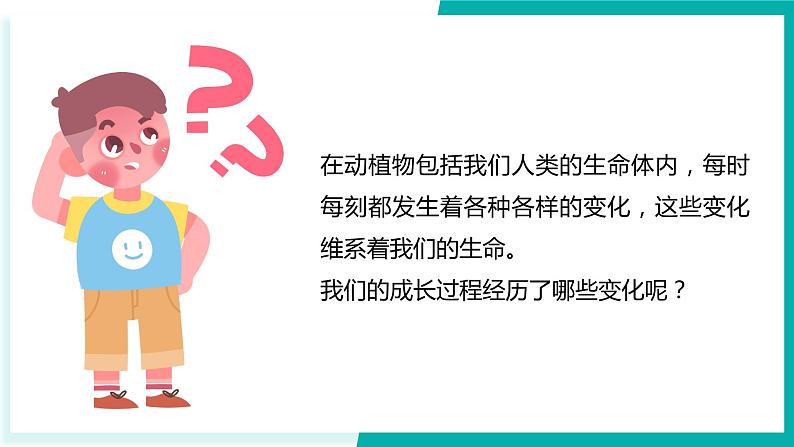 教科版科学六年级下册 4.6生命体中的化学变化 同步课件02