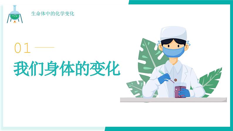 教科版科学六年级下册 4.6生命体中的化学变化 同步课件03