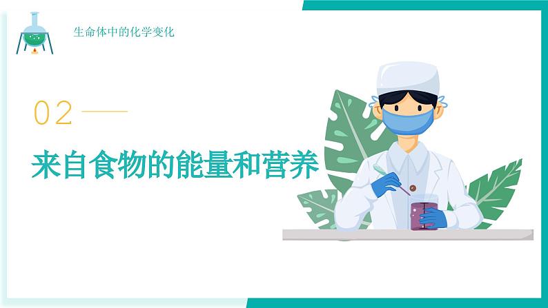 教科版科学六年级下册 4.6生命体中的化学变化 同步课件05