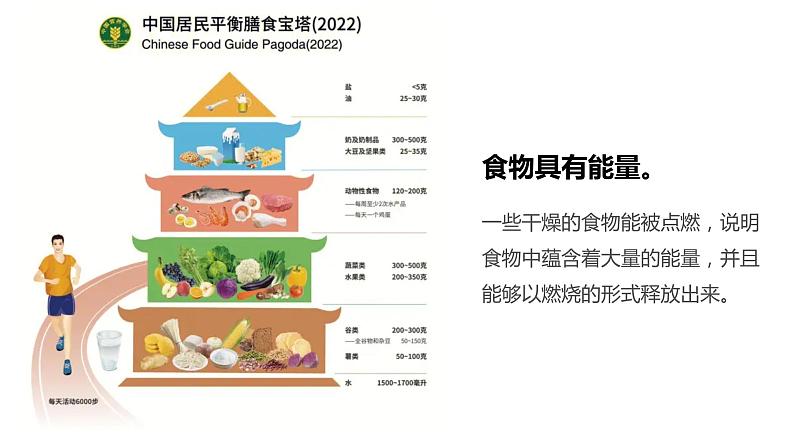 教科版科学六年级下册 4.6生命体中的化学变化 同步课件06