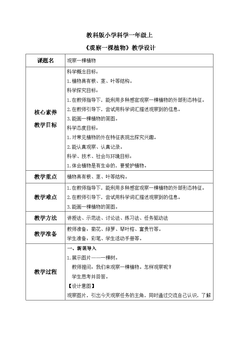教科版 科学 一上 《观察一棵植物》课件+教案（含教学反思）01