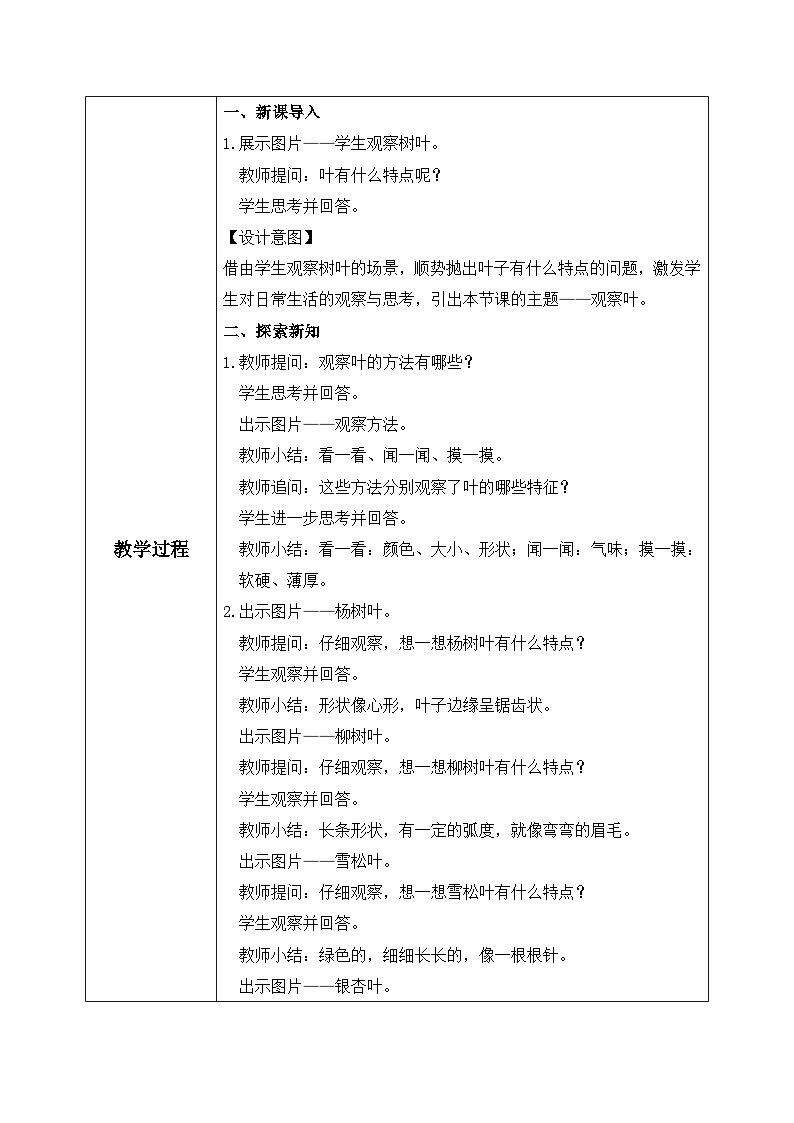 教科版 科学 一上 《观察叶》课件+教案（含教学反思）02