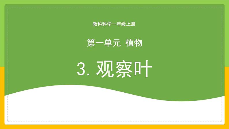 教科版 科学 一上 《观察叶》课件+教案（含教学反思）01