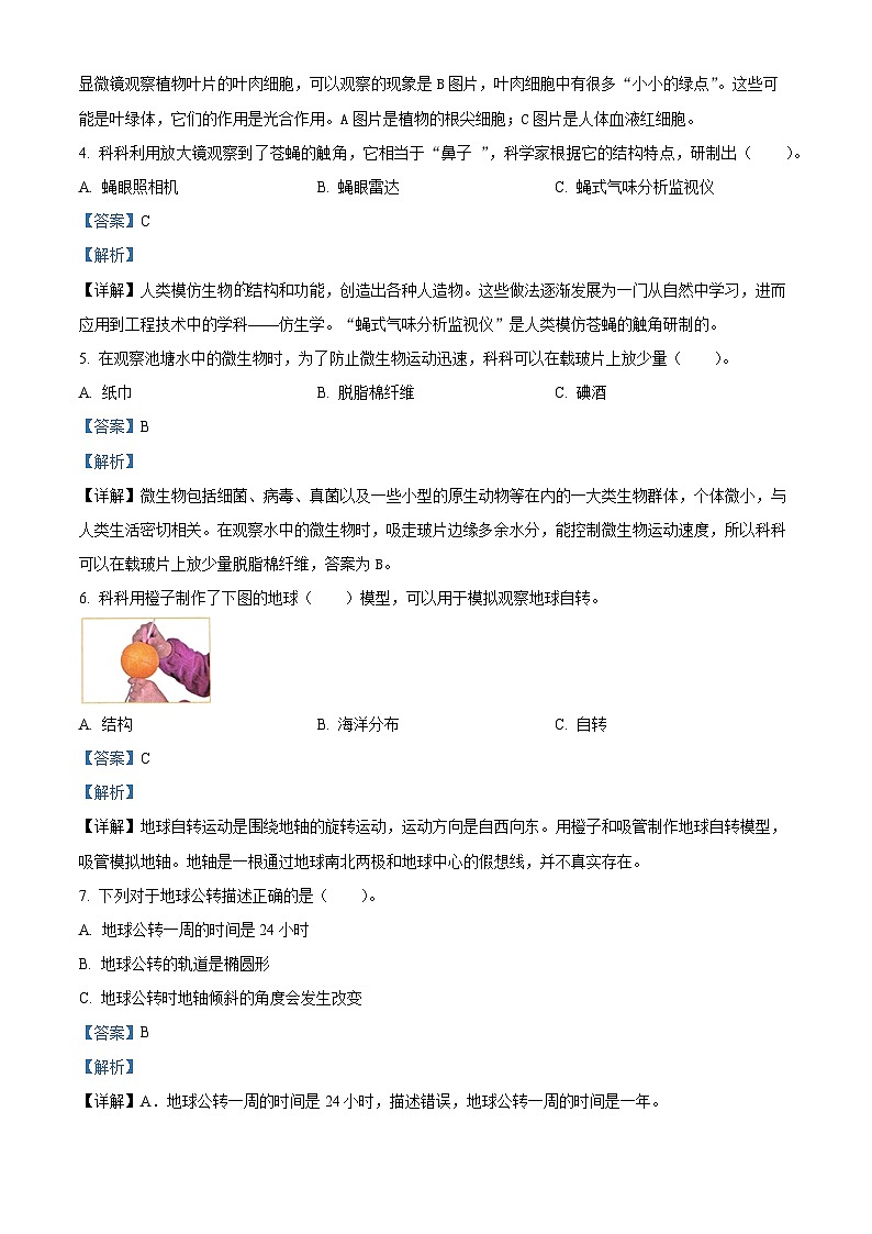 2023-2024学年广东省深圳市罗湖区教科版六年级上册期末考试科学试卷（原卷版+解析版）02