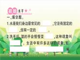 教科版（2017秋）三年級上冊 第一單元 水習題課件